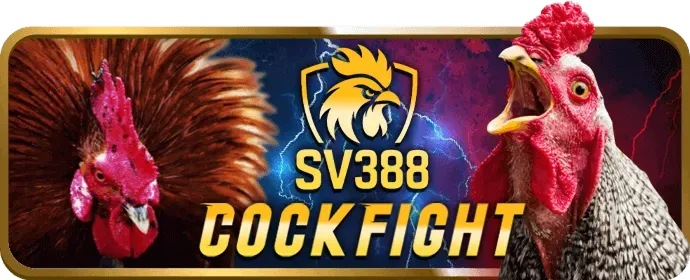 Slot video phiêu lưu 0k9
