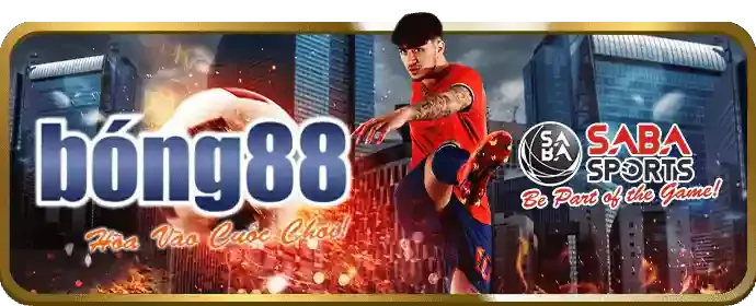 Sự kiện VIP độc quyền